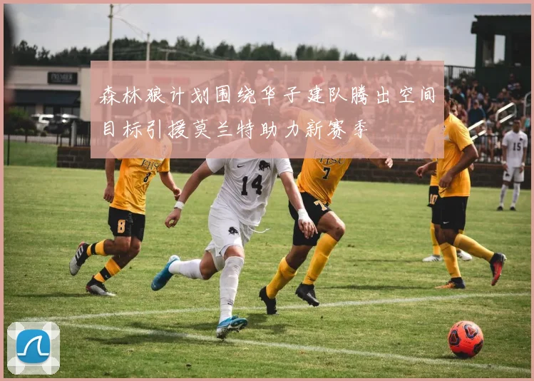 森林狼计划围绕华子建队腾出空间目标引援莫兰特助力新赛季